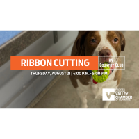 Khám Phá Tiềm Năng Của Https K9Cc.Tech Tương Lai Của Công Nghệ Chó Nghiệp Vụ