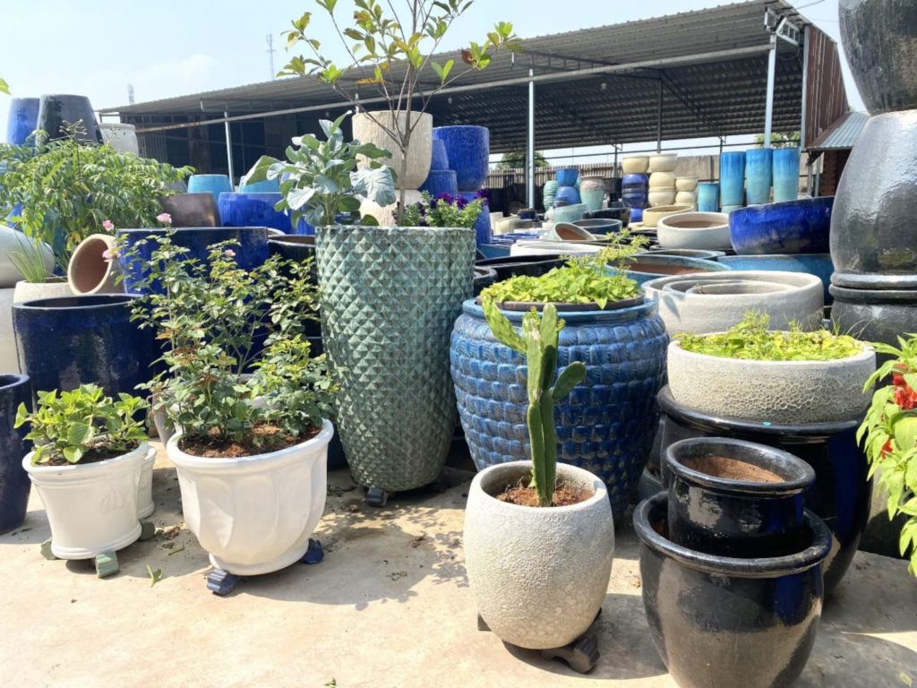 Khám Phá Vlxx Thuoc – Cổng Ngõ Giải Trí Tuyệt Vời