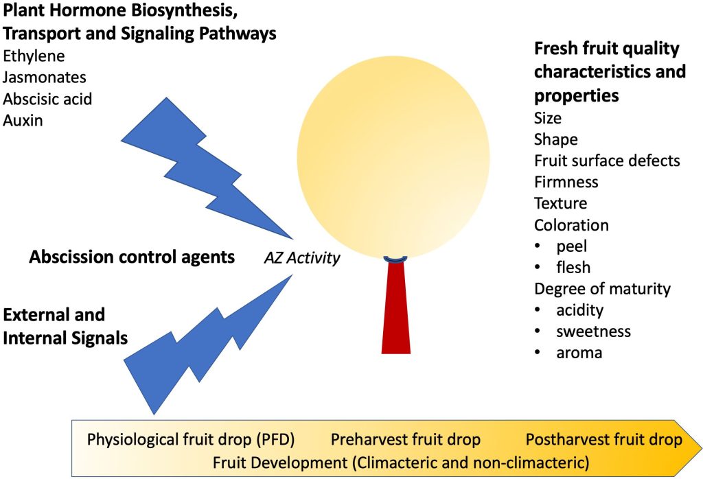 Khám Phá Xổ Số Miền Bắc 60 Ngày – Cổng Game Đỉnh Cao