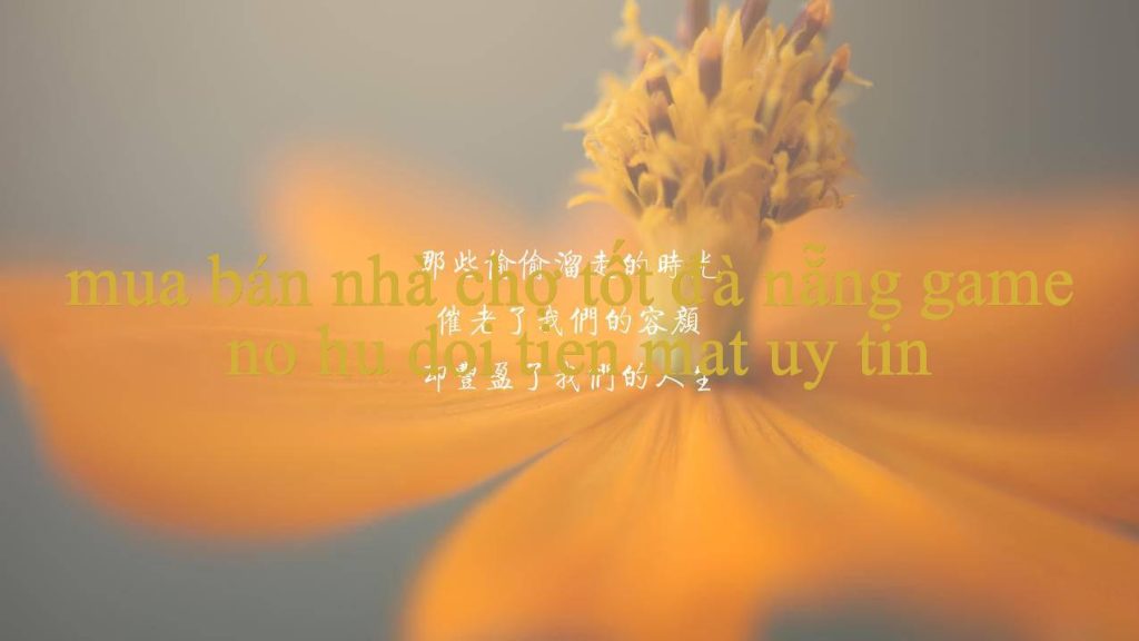 Mua Bán Nhà Chợ Tốt Đà Nẵng Trải Nghiệm Cá Cược Đỉnh Cao Và Hơn Thế Nữa