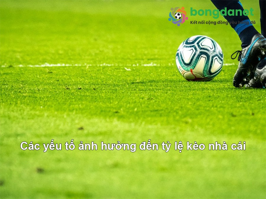 Khám Phá Clip Mmlive – Chìa Khóa Thành Công Trong Cá Cược Bóng Đá Hiện Nay