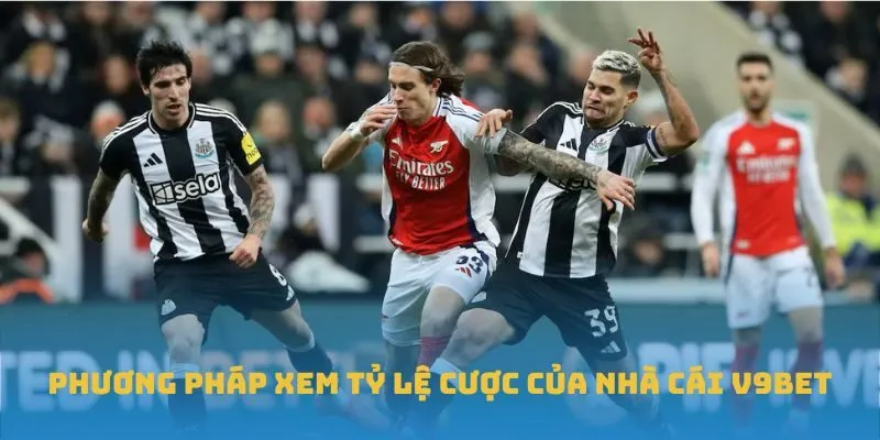 Clip Thu Dam Phân Tích Sâu Và Cách Đọc Kèo Hiệu Quả